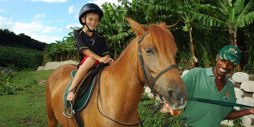 Pony Riding (Mac Banana)