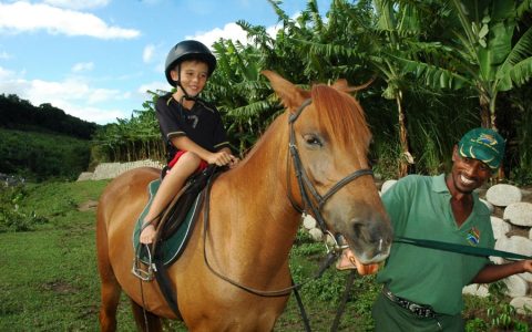 Pony Riding (Mac Banana)